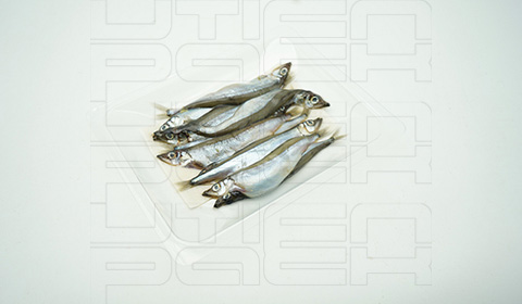 �ഺ�������װ�������